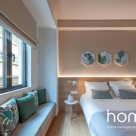 Toucan Homm Suites